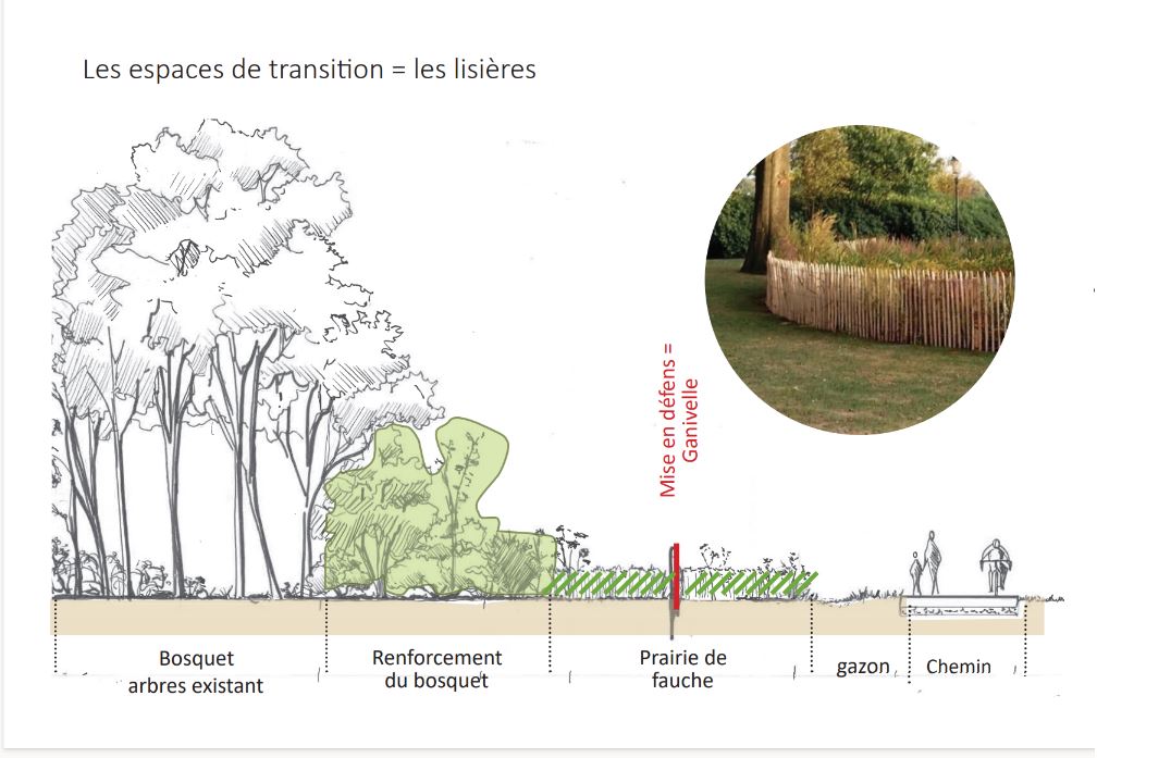 propositions-amenagement